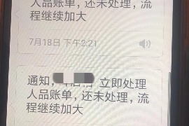 桓台融资清欠服务